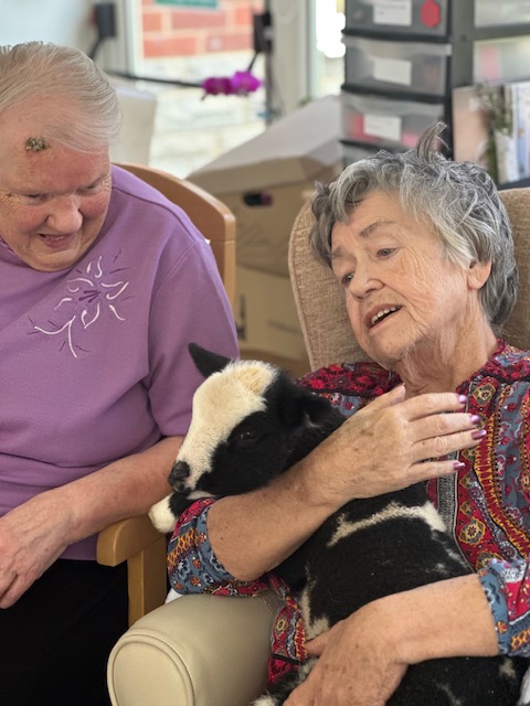 2 female residents one holding a black and white lamb