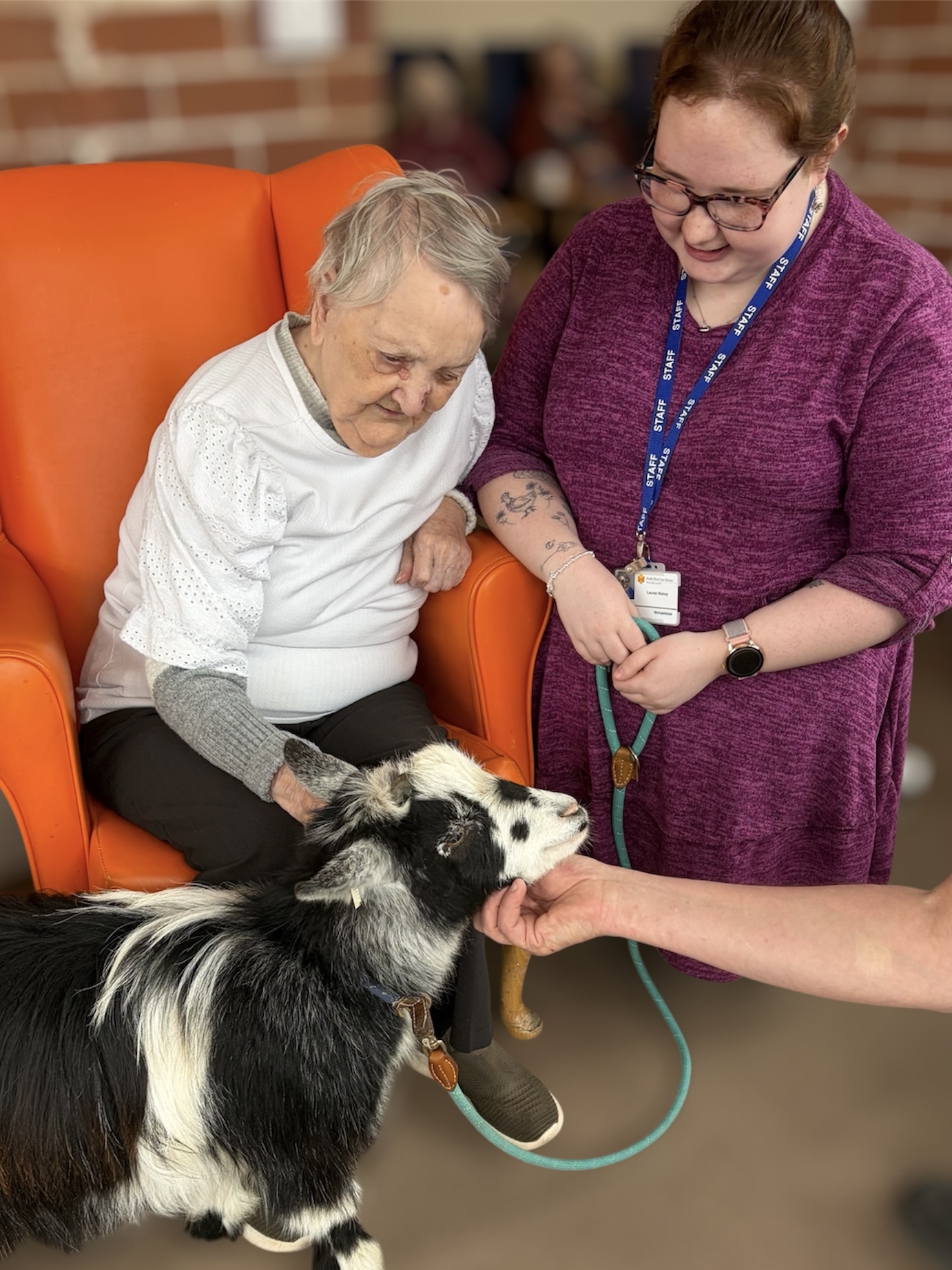Residents stroking black and white pygmy goat while owner holds the lead