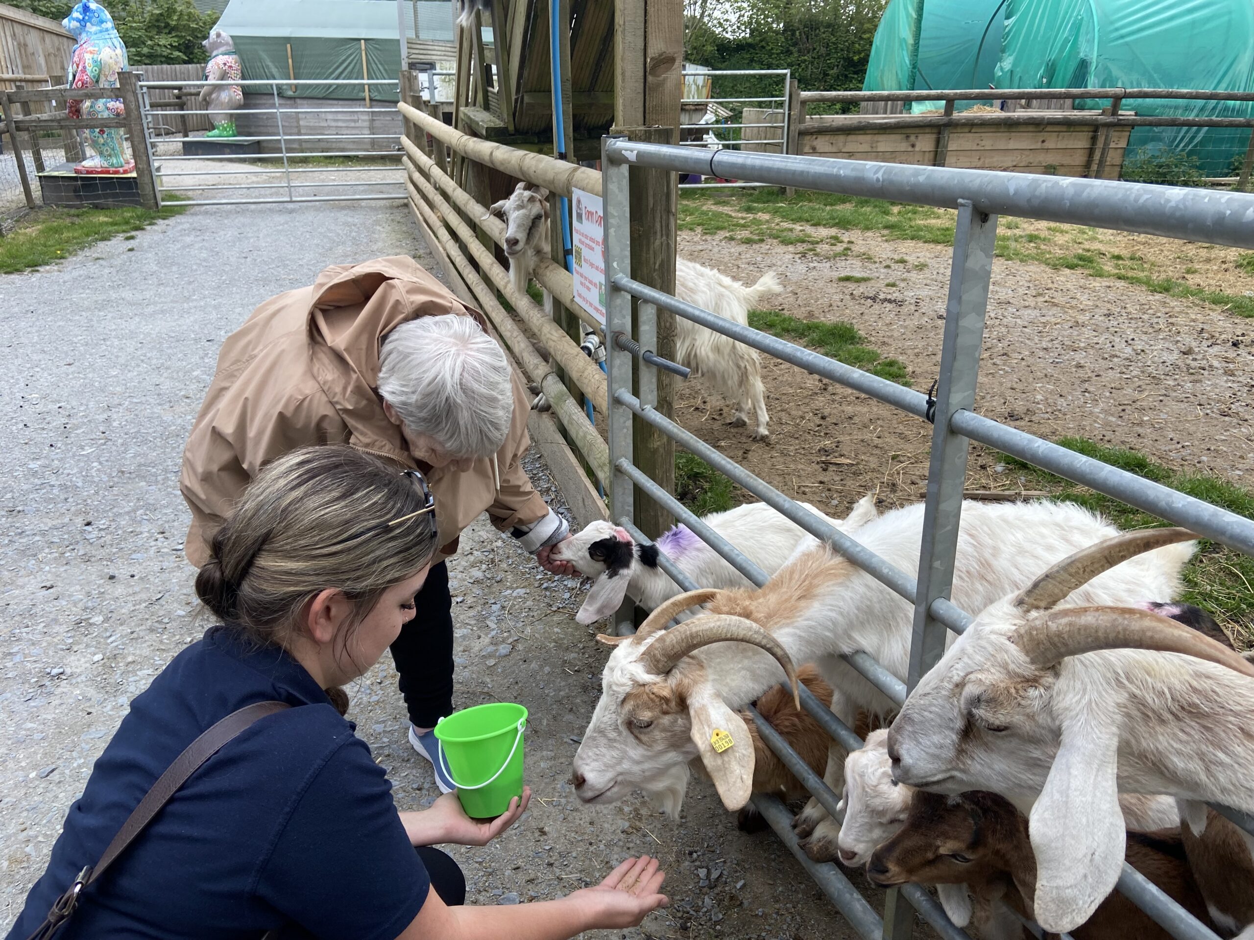 Amber and Ange feeding the goats 2 scaled