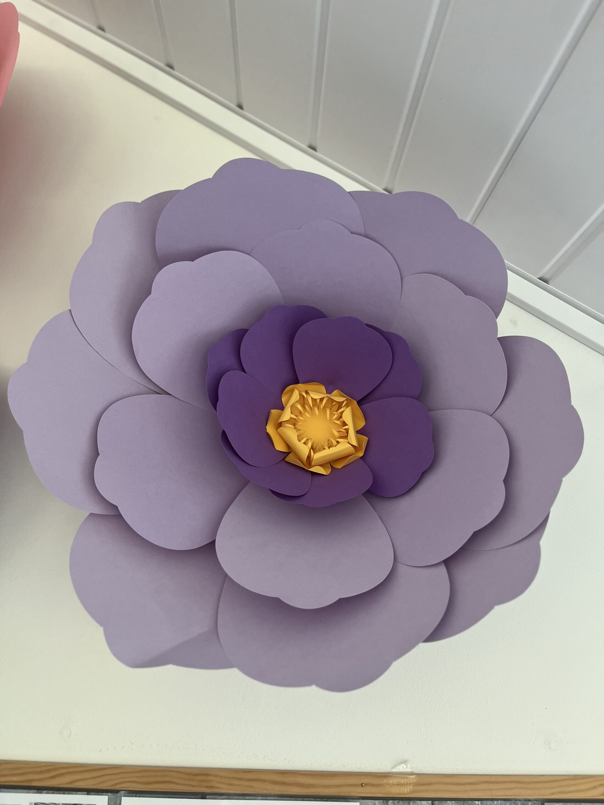 Close up of lilac flower with purple inner petals and yellow centre scaled