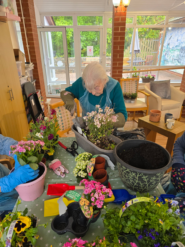 Eileen planting flowers in a grey trough