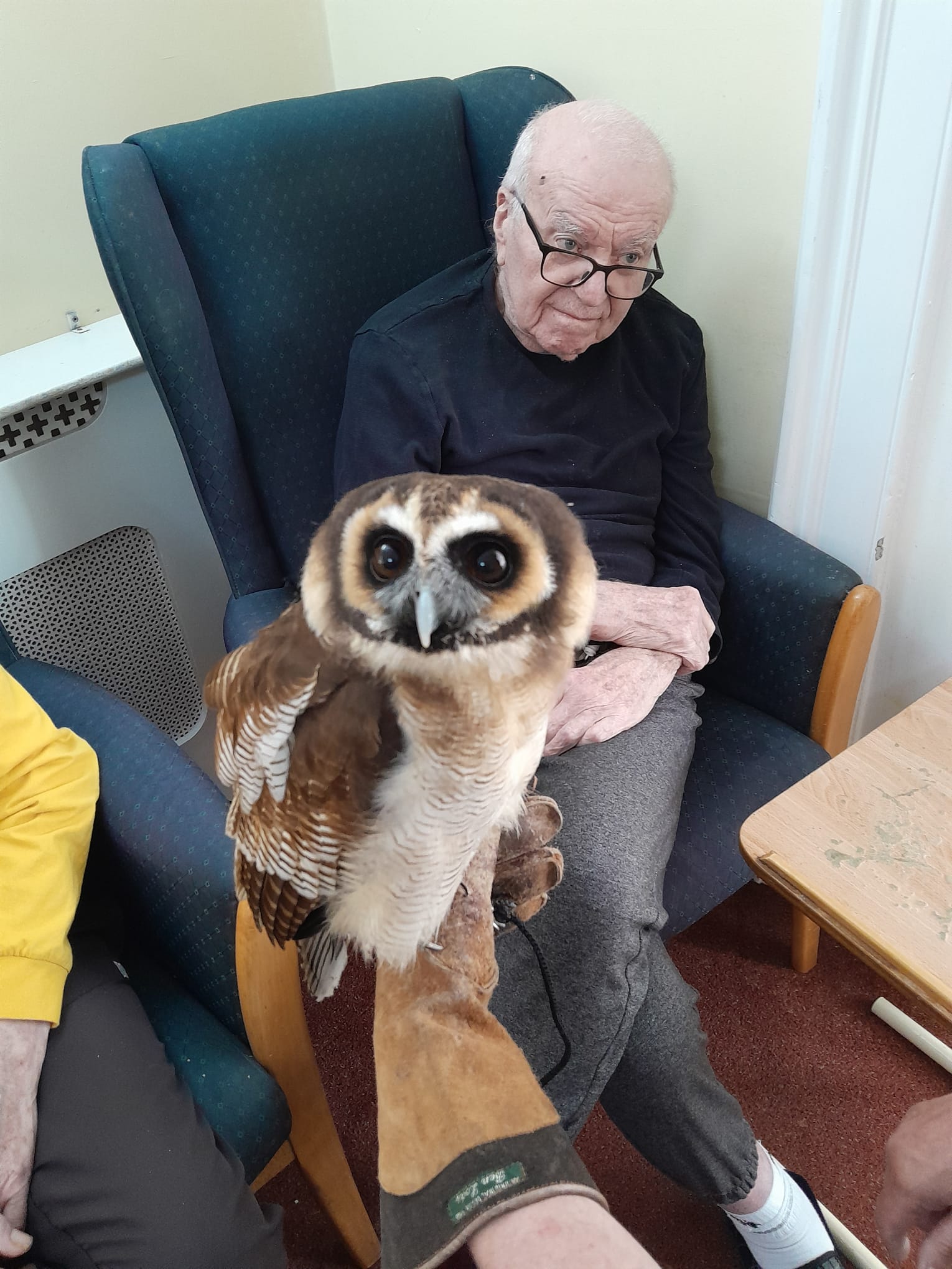 Ken seated whilst being shown Bill the Owl by the handler