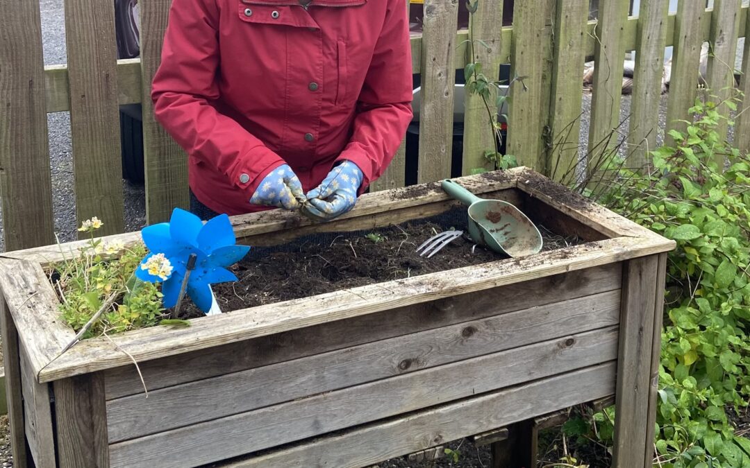 Kenwyn Residents Brighten the Courtyard with New Plants