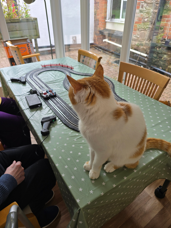 Marmalade the cat sitting next to the table with the Scalectrix watching