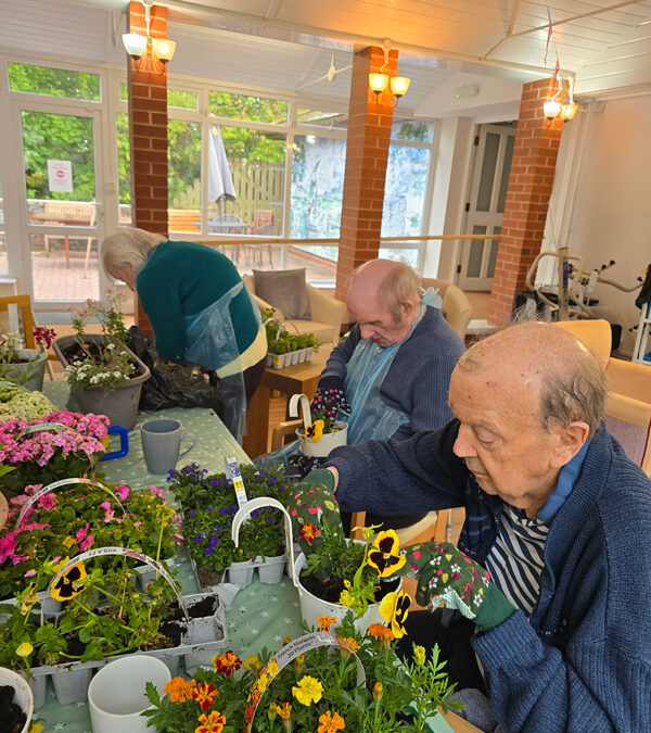 The Firs in Bloom for Chelsea Flower Show and World Bee Day