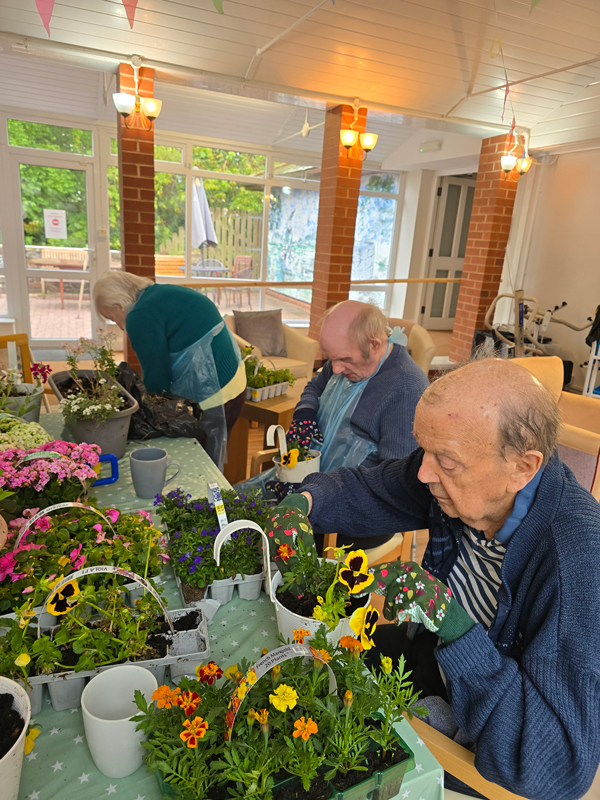 Maurice and Horace both busy planting small white pots with flowers