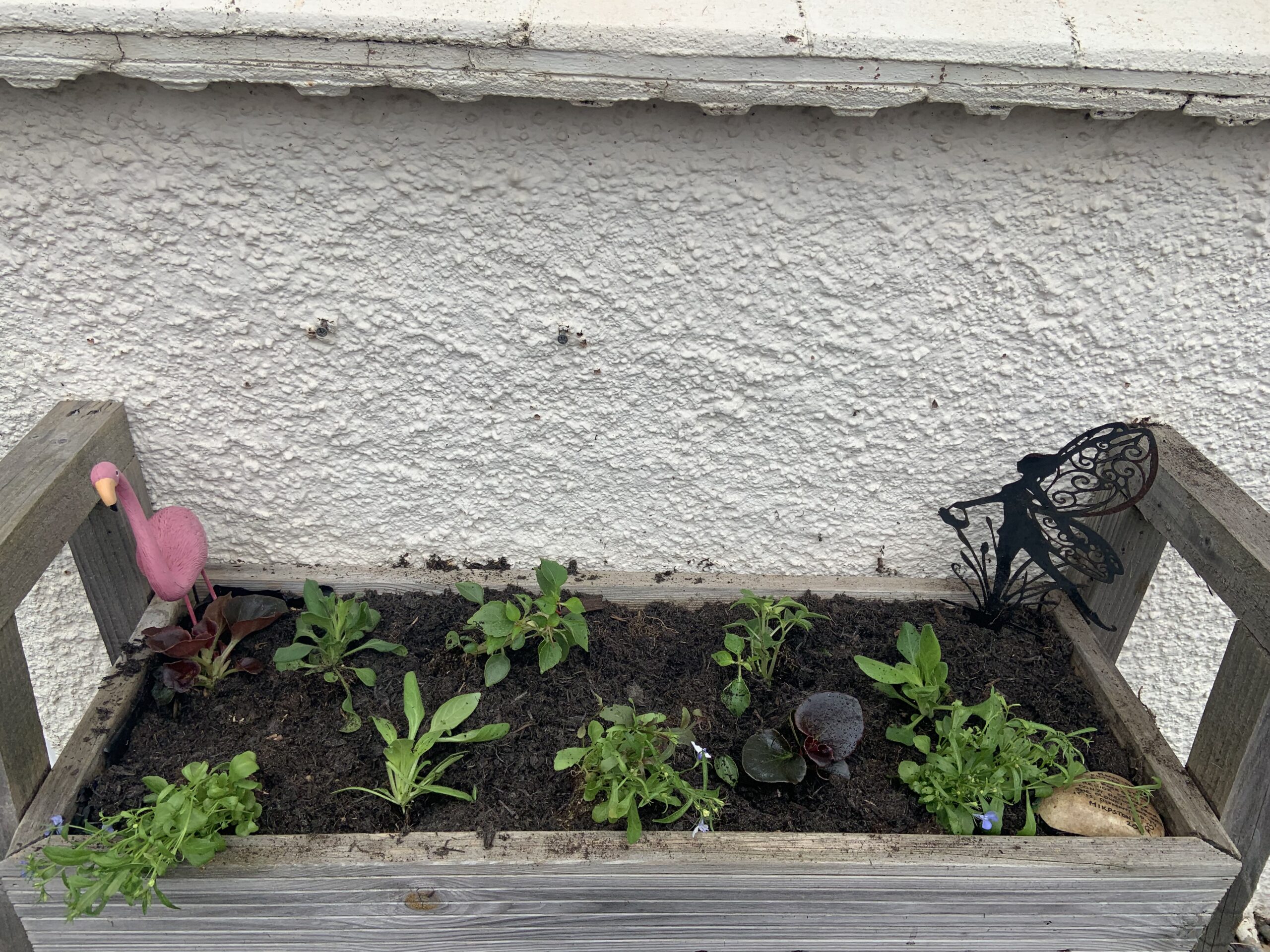 Raised bed with newly plants shrubs and a pink flamingo ornament scaled