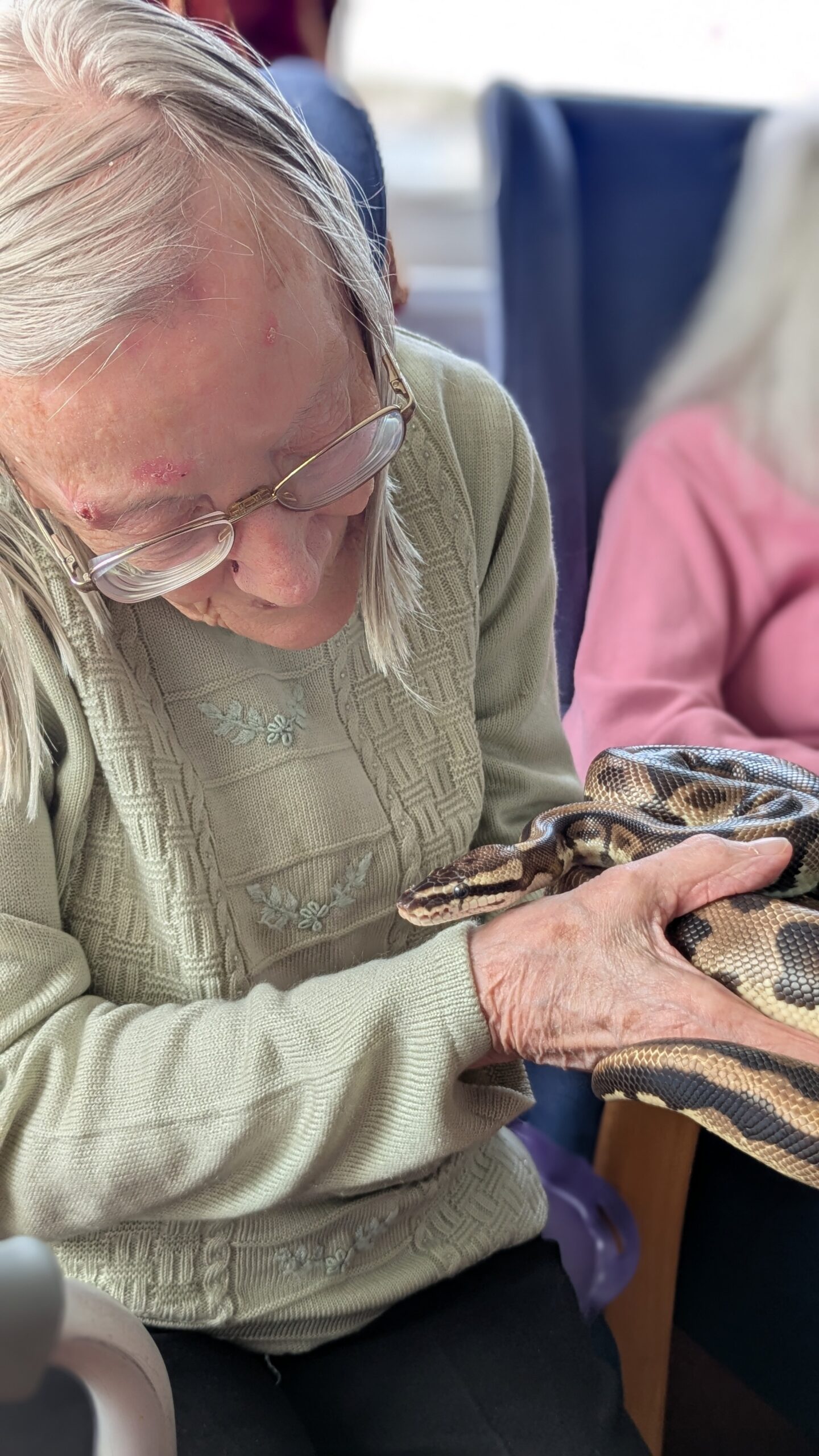 Wyn holding and looking st the face of a python scaled